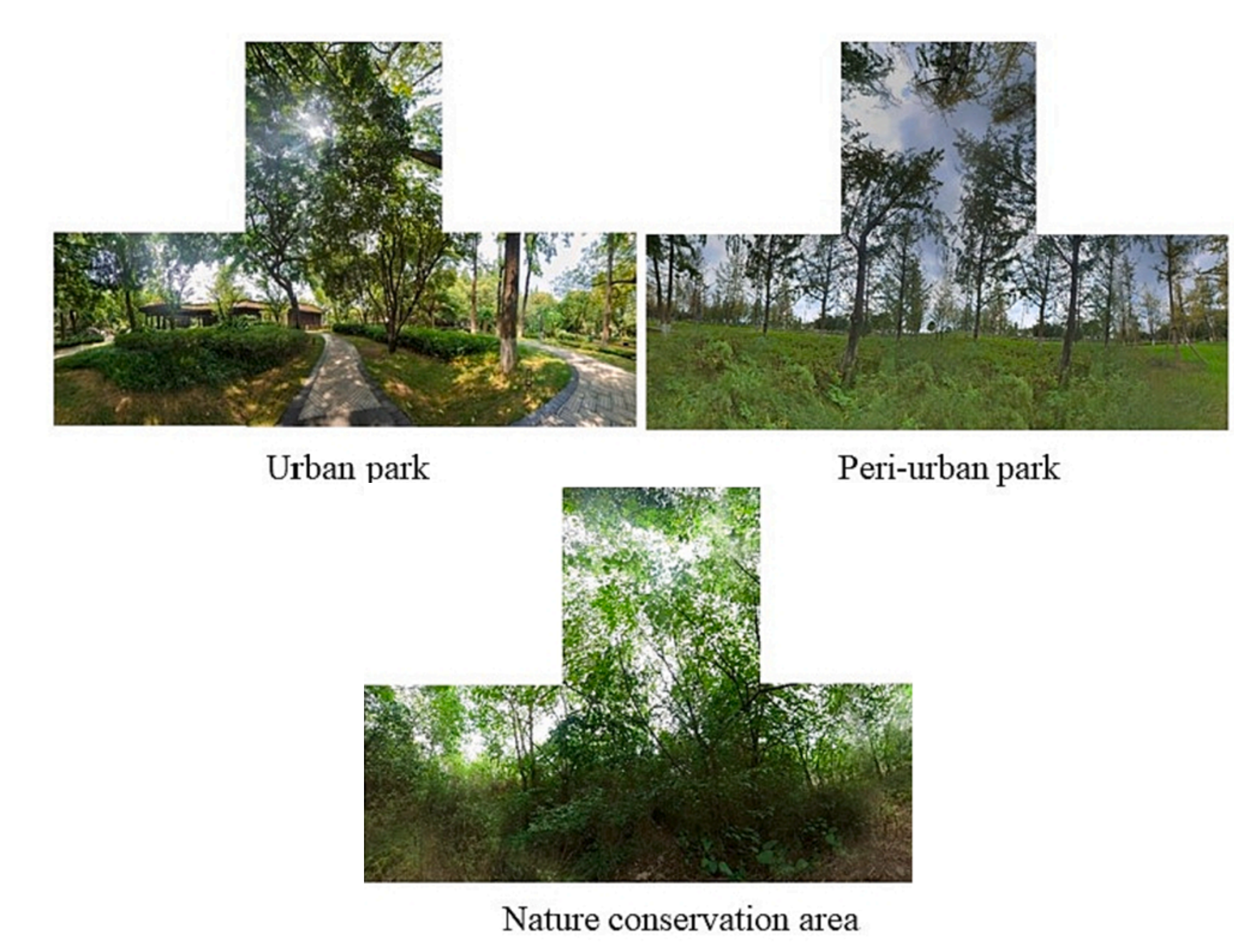 Computer Vision Analysis of Biodiversity-related 360-degree Images